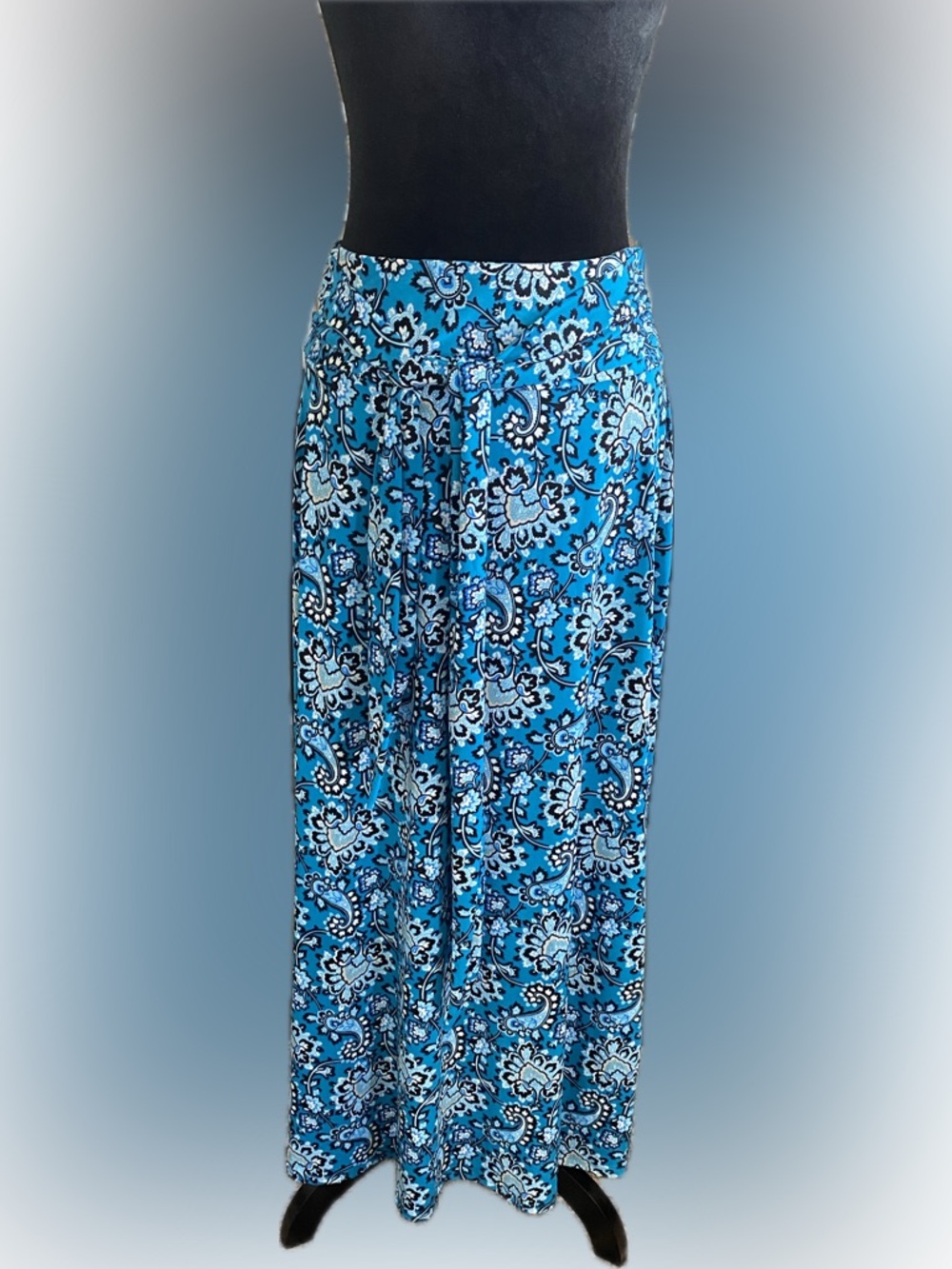 Blue Paisley Maxi Skirt - NY Collection size Petite Medium